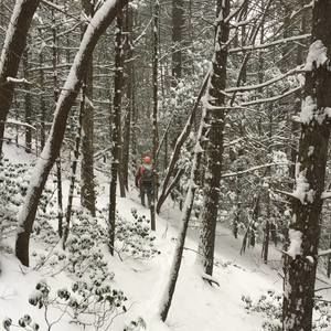 Meet your Posher, Robbie